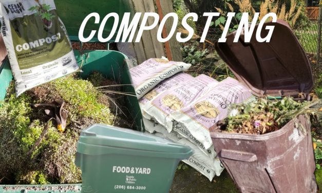 Curious about composting: Finding the right method