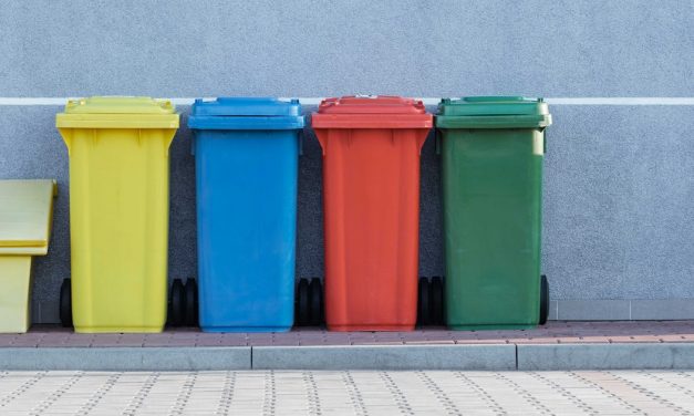 Seattle and King COunty Recycling Guide