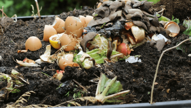 Composting: Indoor method
