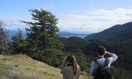 Something Besides Economic Growth in One of Washington’s Pristine Places:  Thinking Green on Cypress Island