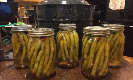 An Easy, No Nonsense Guide to Home Canning