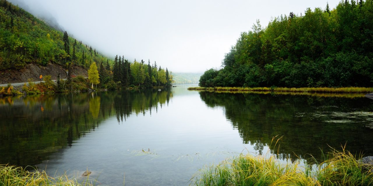 Hopeful Headlines Dec. 12: B.C. Ends Skagit River Logging