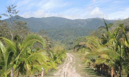 Recapping the Epic Reforestation of Costa Rica