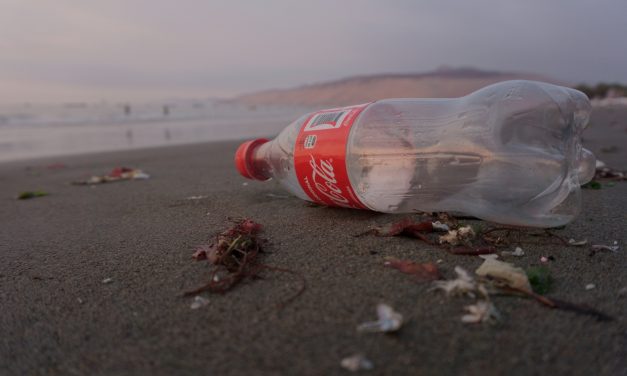 6 Reasons Why Coca-Cola is Just the Worst