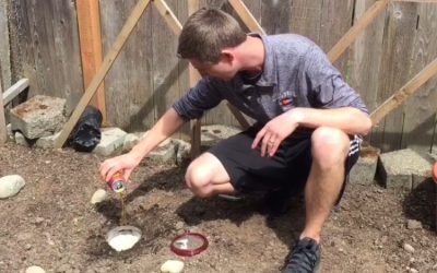 The Beer Garden: IPA Slug Trap (Video)