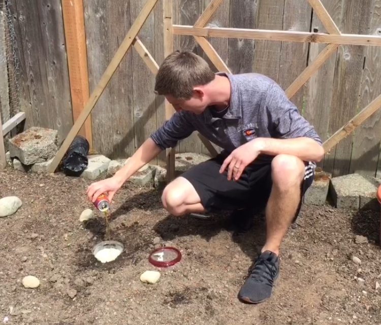 The Beer Garden: IPA Slug Trap (Video)