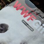 Holiday Presents from the World Wildlife Fund